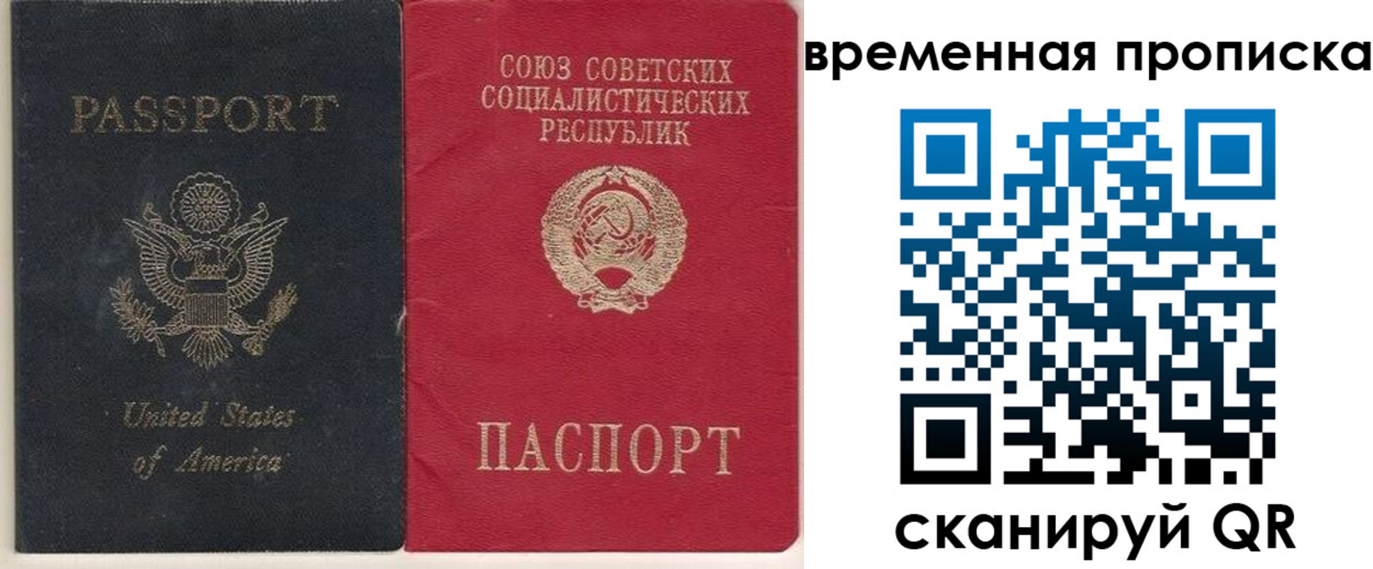 прописка для школы в Черногорске